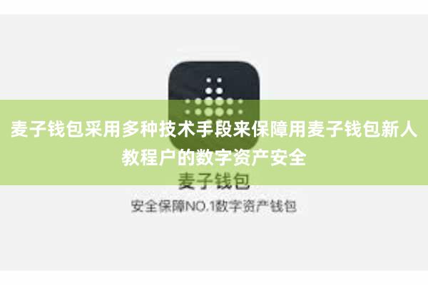 麦子钱包采用多种技术手段来保障用麦子钱包新人教程户的数字资产安全