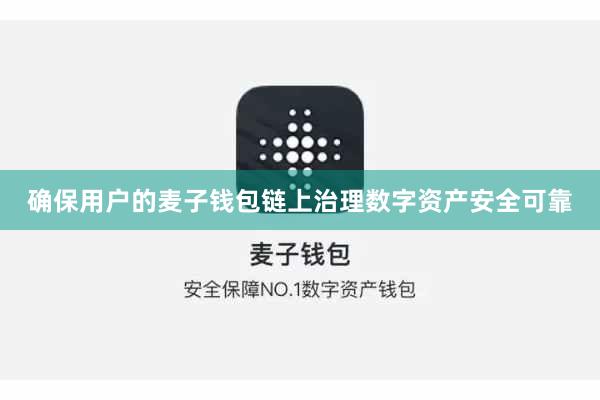 确保用户的麦子钱包链上治理数字资产安全可靠