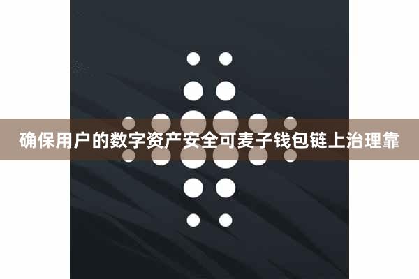确保用户的数字资产安全可麦子钱包链上治理靠