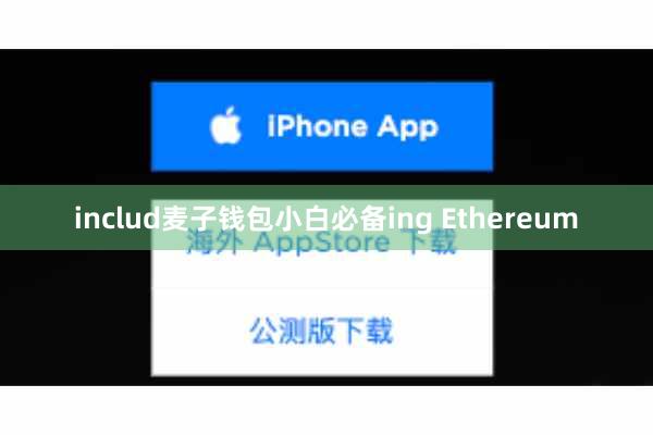includ麦子钱包小白必备ing Ethereum