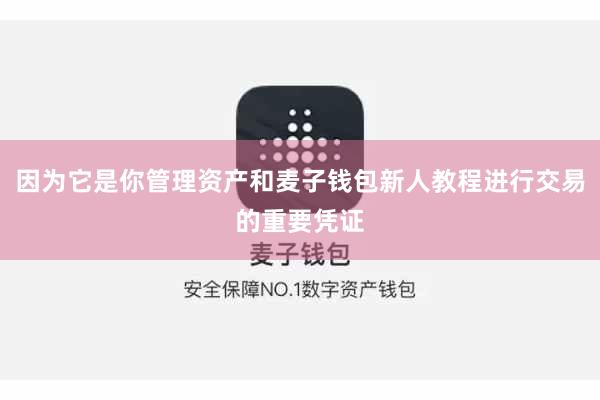 因为它是你管理资产和麦子钱包新人教程进行交易的重要凭证