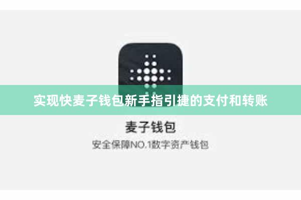 实现快麦子钱包新手指引捷的支付和转账
