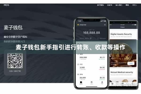 麦子钱包新手指引进行转账、收款等操作