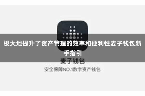 极大地提升了资产管理的效率和便利性麦子钱包新手指引