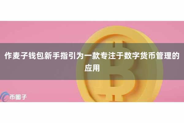 作麦子钱包新手指引为一款专注于数字货币管理的应用