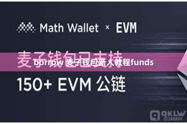 borrow 麦子钱包新人教程funds