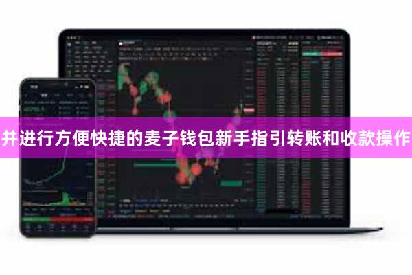 并进行方便快捷的麦子钱包新手指引转账和收款操作