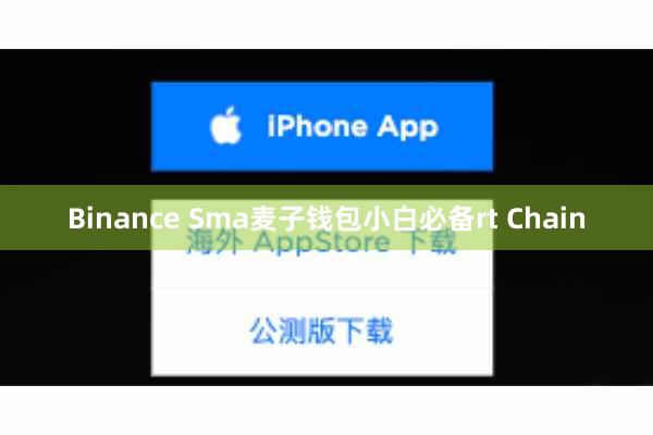 Binance Sma麦子钱包小白必备rt Chain