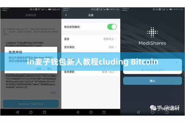 in麦子钱包新人教程cluding Bitcoin