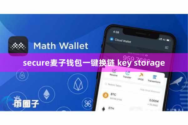 secure麦子钱包一键换链 key storage