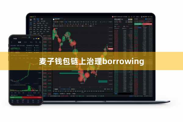 麦子钱包链上治理borrowing