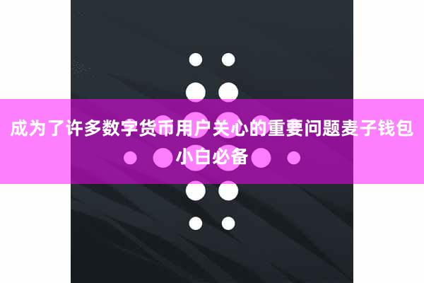 成为了许多数字货币用户关心的重要问题麦子钱包小白必备