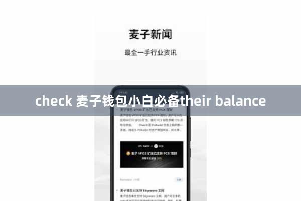 check 麦子钱包小白必备their balance
