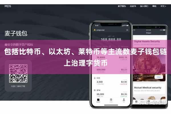 包括比特币、以太坊、莱特币等主流数麦子钱包链上治理字货币