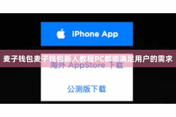 麦子钱包麦子钱包新人教程PC都能满足用户的需求