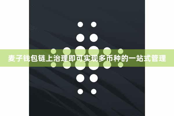 麦子钱包链上治理即可实现多币种的一站式管理
