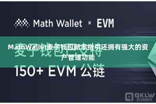 MathWallet麦子钱包新手指引还拥有强大的资产管理功能