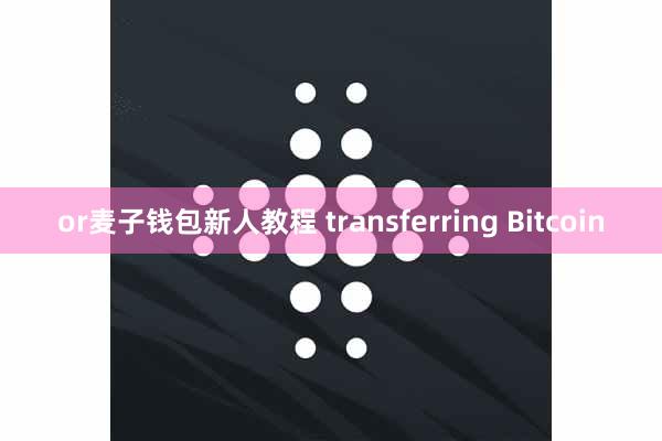 or麦子钱包新人教程 transferring Bitcoin