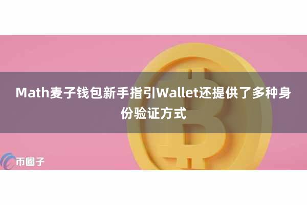 Math麦子钱包新手指引Wallet还提供了多种身份验证方式