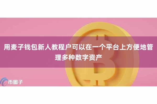 用麦子钱包新人教程户可以在一个平台上方便地管理多种数字资产